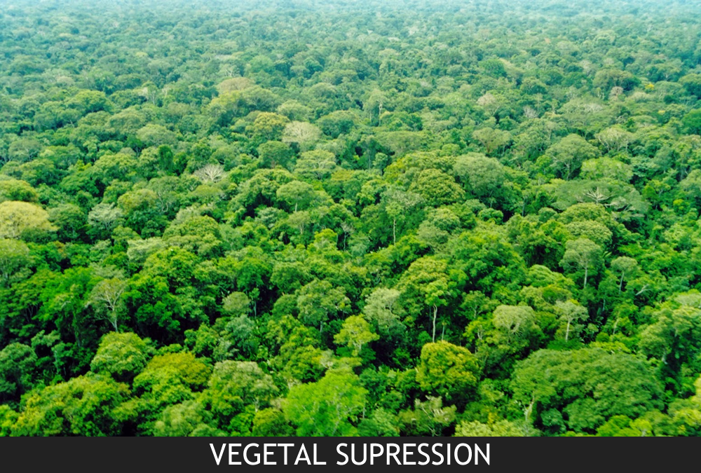 Vegetal supression